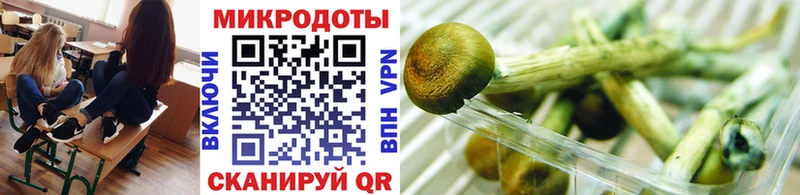 Галлюциногенные грибы Cubensis  Куровское 